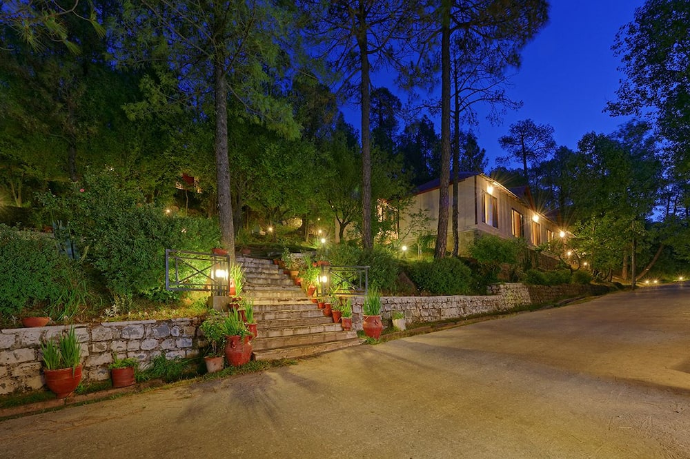 Arcadian Blue Pines
