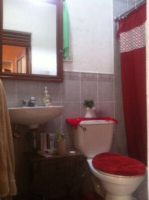 Combined shower/bathtub, deep-soaking bathtub, free toiletries