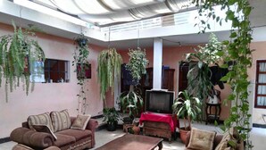 A spacious living room with a high ceiling, multiple sofas, a coffee table, and various potted plants. - Casa de Leon (Antigua Guatemala)