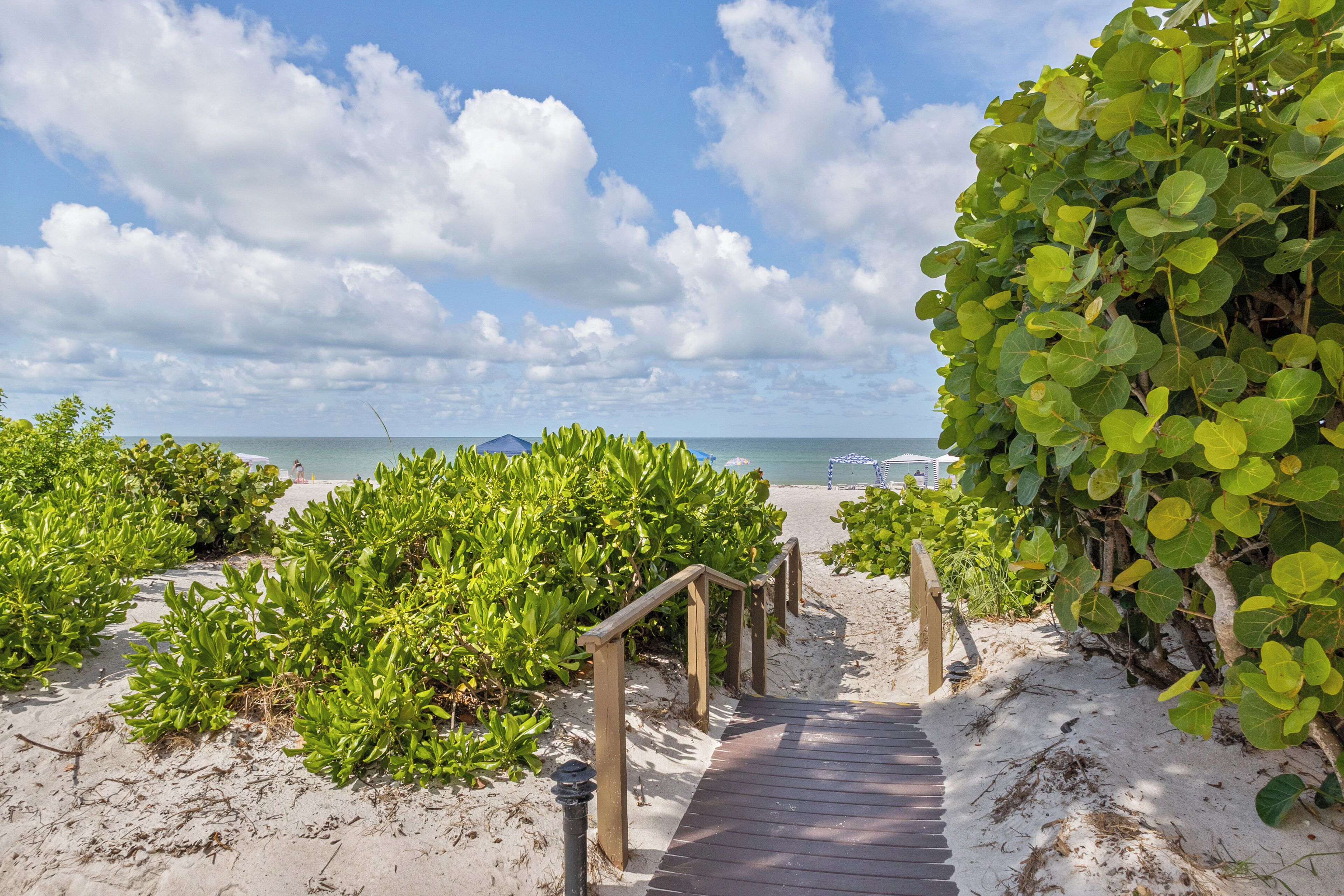 Plage, parasols