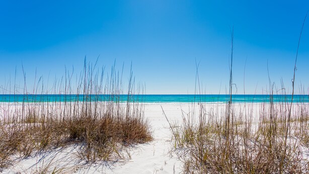A beach with a clear sky, sandy path, and tall grasses. - Spacious condo with sleeping loft - Sleeps 10 on Pensacola Bay - San Deluna 29 (Pensacola Beach)