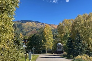 Udendørsområde
