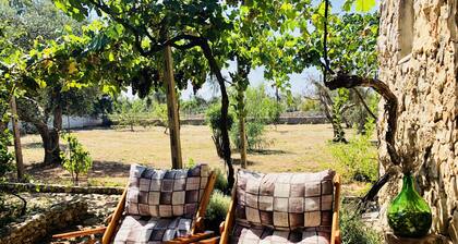 Ancient PAJARA typical Trulli 5m from the sea of GALLIPOLI in Salento