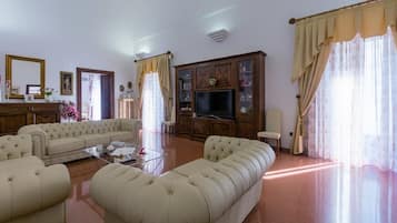 TV connectée, cheminée, lecteur de DVD, livres