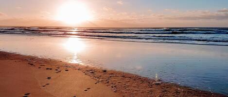 Ranta lähistöllä, aurinkotuoleja