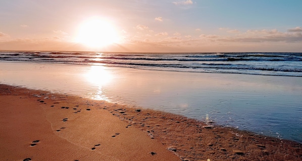 Beach nearby, sun loungers
