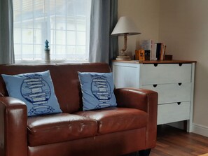 Smart TV, fireplace, books