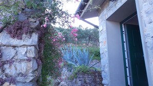 Eine Steinmauer mit Kletterpflanzen und rosa Blüten, ein Steinweg und ein Gebäudeeingang mit einer grünen Tür.