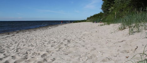 Una spiaggia nelle vicinanze