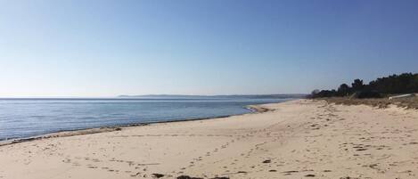 In StrandnÀhe, Angeln