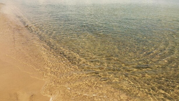 A beach with clear shallow water and a sandy shore. - 2 bedroom pet friendly home in Degeberga (Degeberga)