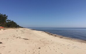 Beach nearby, fishing