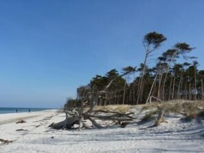 Beach nearby, sun loungers