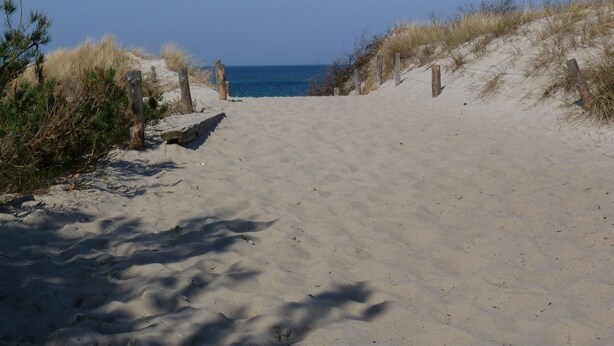 Un sentier de sable qui longe la plage et mène à l’océan, bordé de dunes et d’une végétation clairsemée.