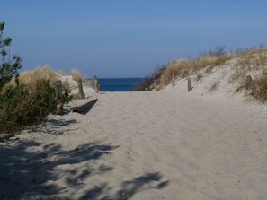 Un sentier de sable qui longe la plage et mène à l’océan, bordé de dunes et d’une végétation clairsemée.