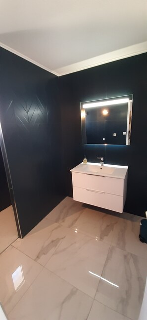 Shower, hair dryer, toilet paper