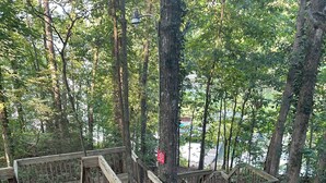 Eine Holztreppe führt zu einer Plattform, die von Bäumen umgeben ist.
