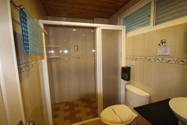 Une salle de bain avec douche, toilettes et lavabo.