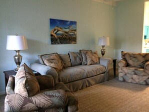 TV, DVD player, books, video library