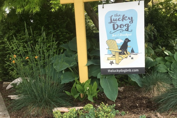 Welcome to The Lucky Dog!