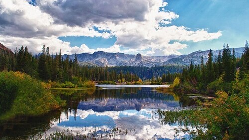 Year round fun luxury location steps to Village, close to all outdoor activities