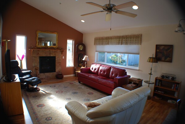 TV connectée, cheminée, lecteur de DVD, livres