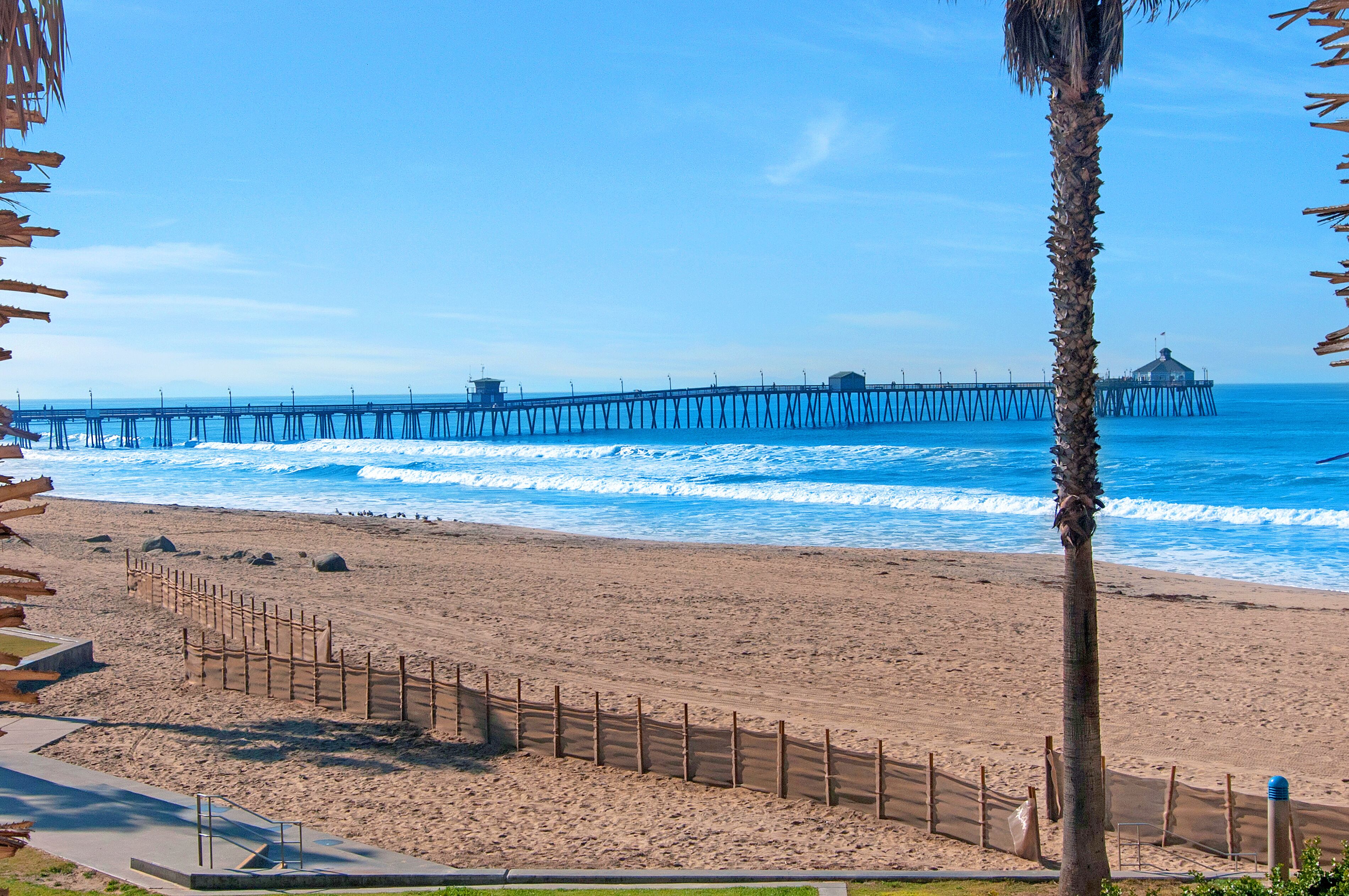 Beautiful View Overlooking Park And Ocean