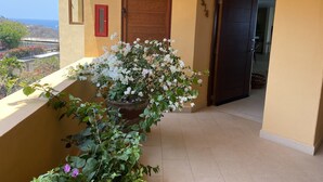 A balcony with a potted plant and a view of the sea. - 3,400 sqft OCEANFRONT 3 BDR 4 BTR AMAZING CONDO. 900SQFT TERRACE STUNNING VIEWS (Ixtapa)