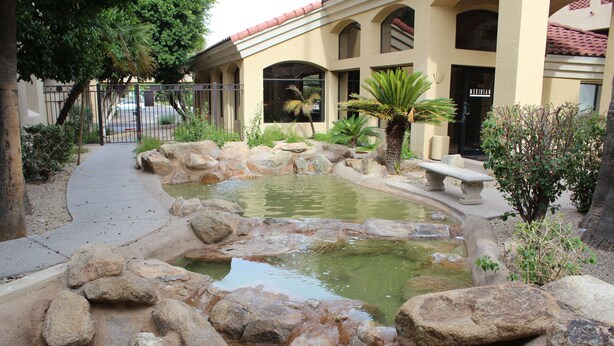 Un jardín ajardinado con un estanque, rocas y una banca.