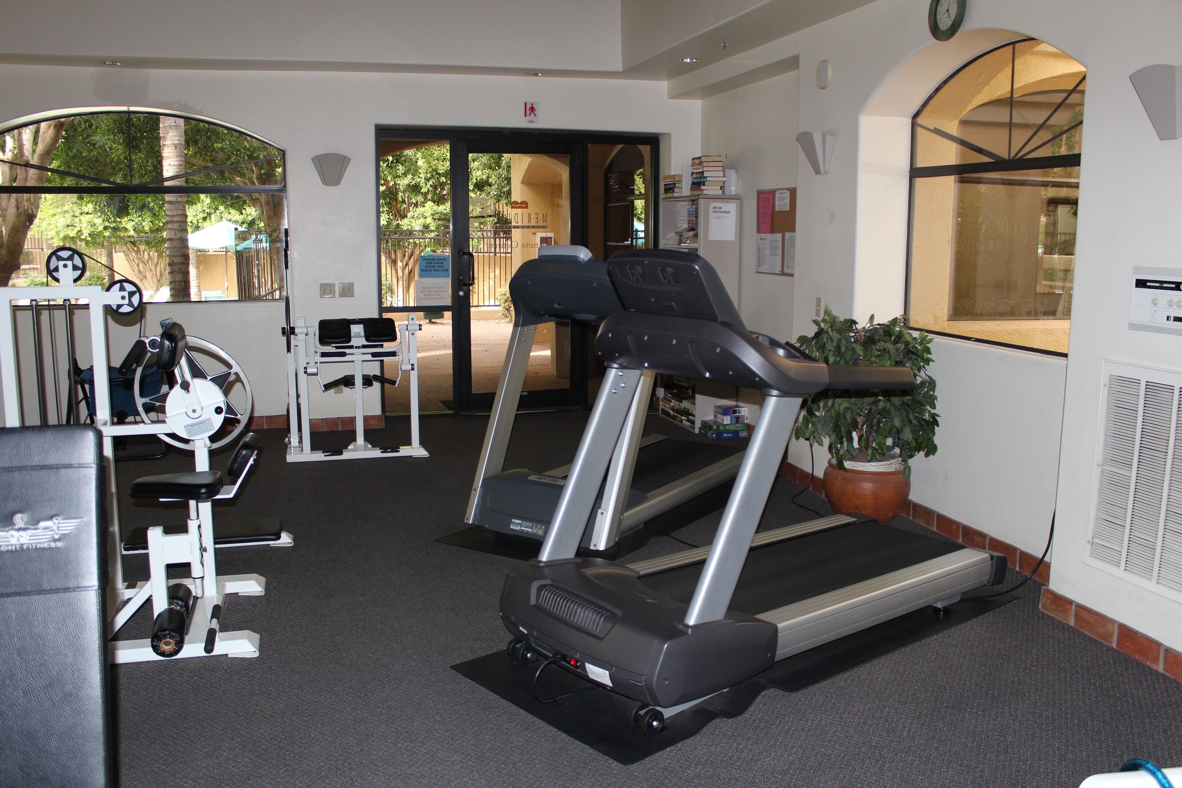 Et fitnesscenter med løbebånd, styrkemaskiner og en potteplante.
