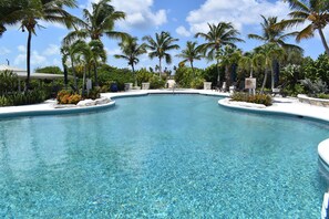 A clear pool surrounded by palm trees and lounge chairs.