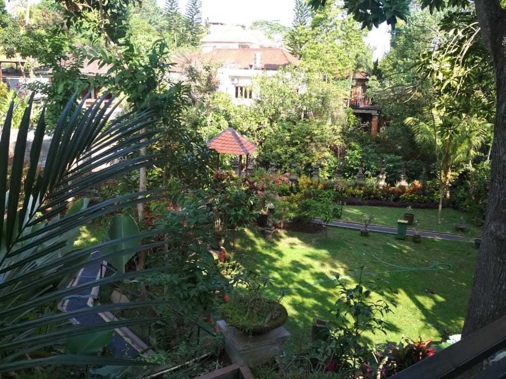 A lush garden with a variety of plants and a small gazebo.