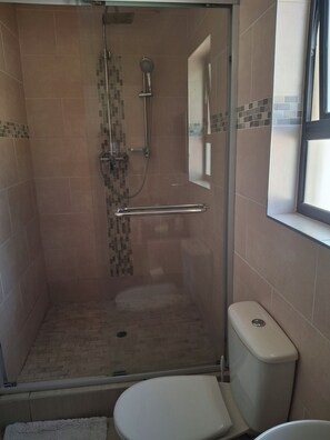 Shower, hair dryer, towels