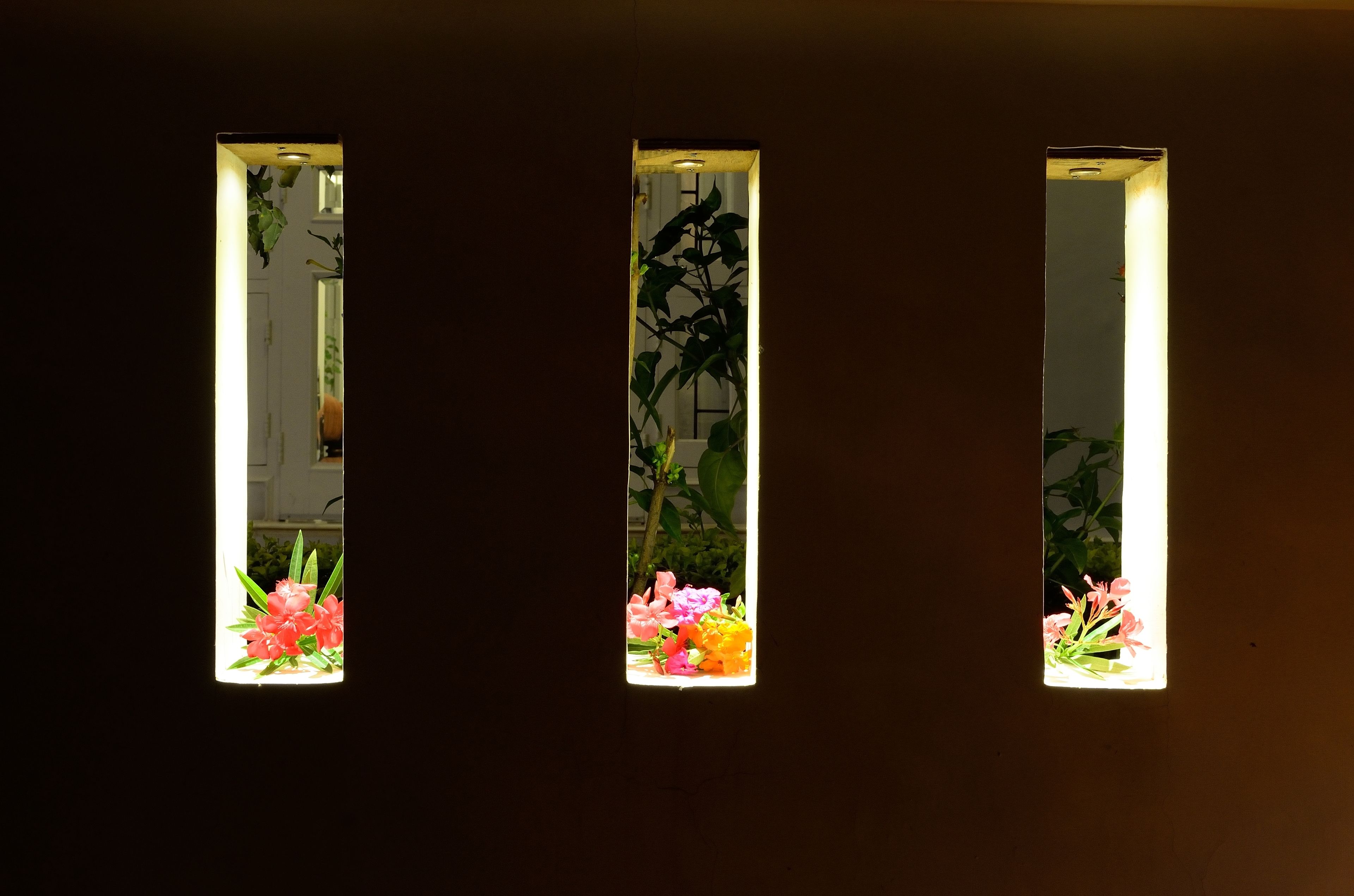 Foto - Shahpura Dev Villa