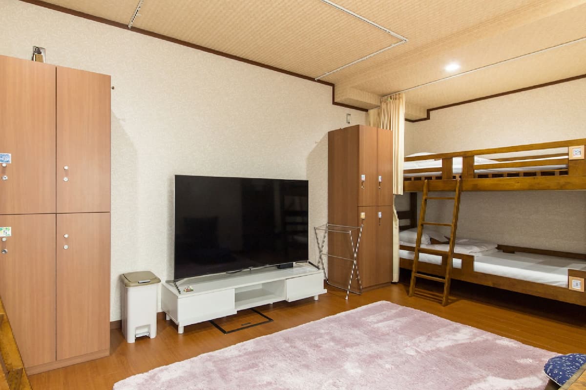 A bunk bed room with a TV, wooden wardrobe, and a small white cabinet.