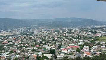 A panoramic view of a cityscape with dense residential buildings, a prominent church, and surrounding hills.