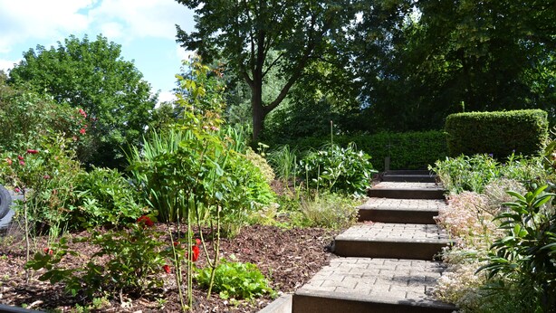 A garden pathway with steps leading to a hedge. - Ferienwohnung Schelsen (Moenchengladbach)