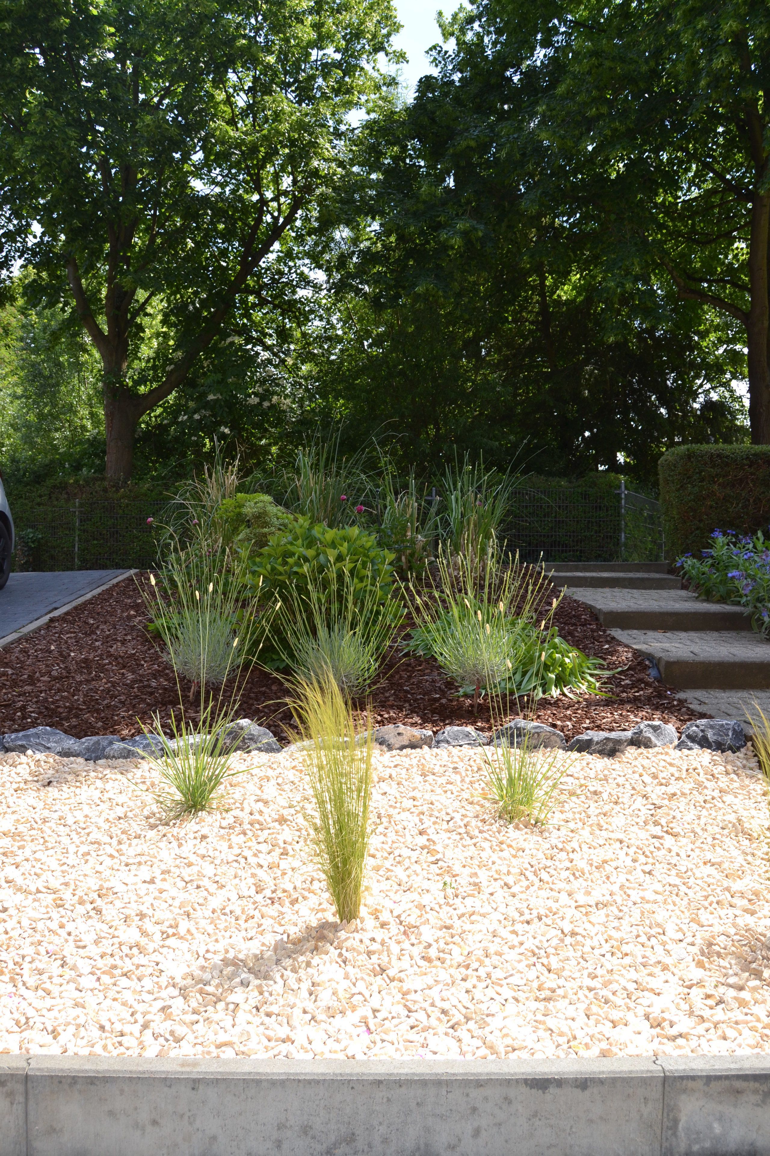 A landscaped garden with various plants and a paved walkway.