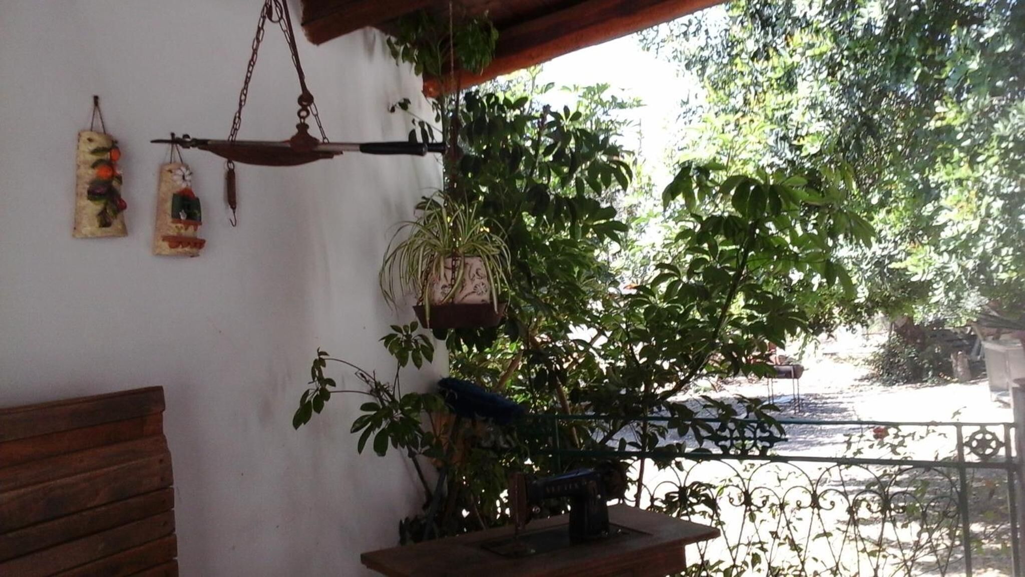 Un espace extérieur aménagé dans un style rustique, avec des bancs en bois, une balance suspendue et des plantes en pot.
