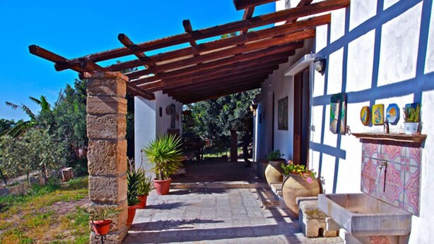 Eksteriør