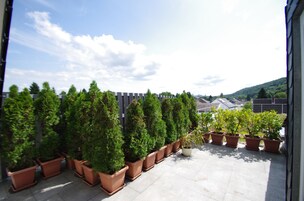 Vista desde la habitación