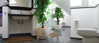 Luxury Apartments Bonn