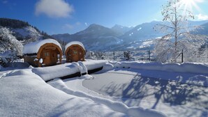 A snow-covered landscape with two wooden cabins labeled "Gasthof Puch." - Gasthof Pesbichl (Goldegg)