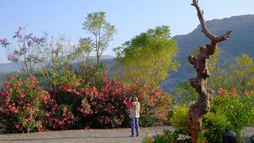 A person taking a photo in a garden with a variety of plants and a distinctive tree.