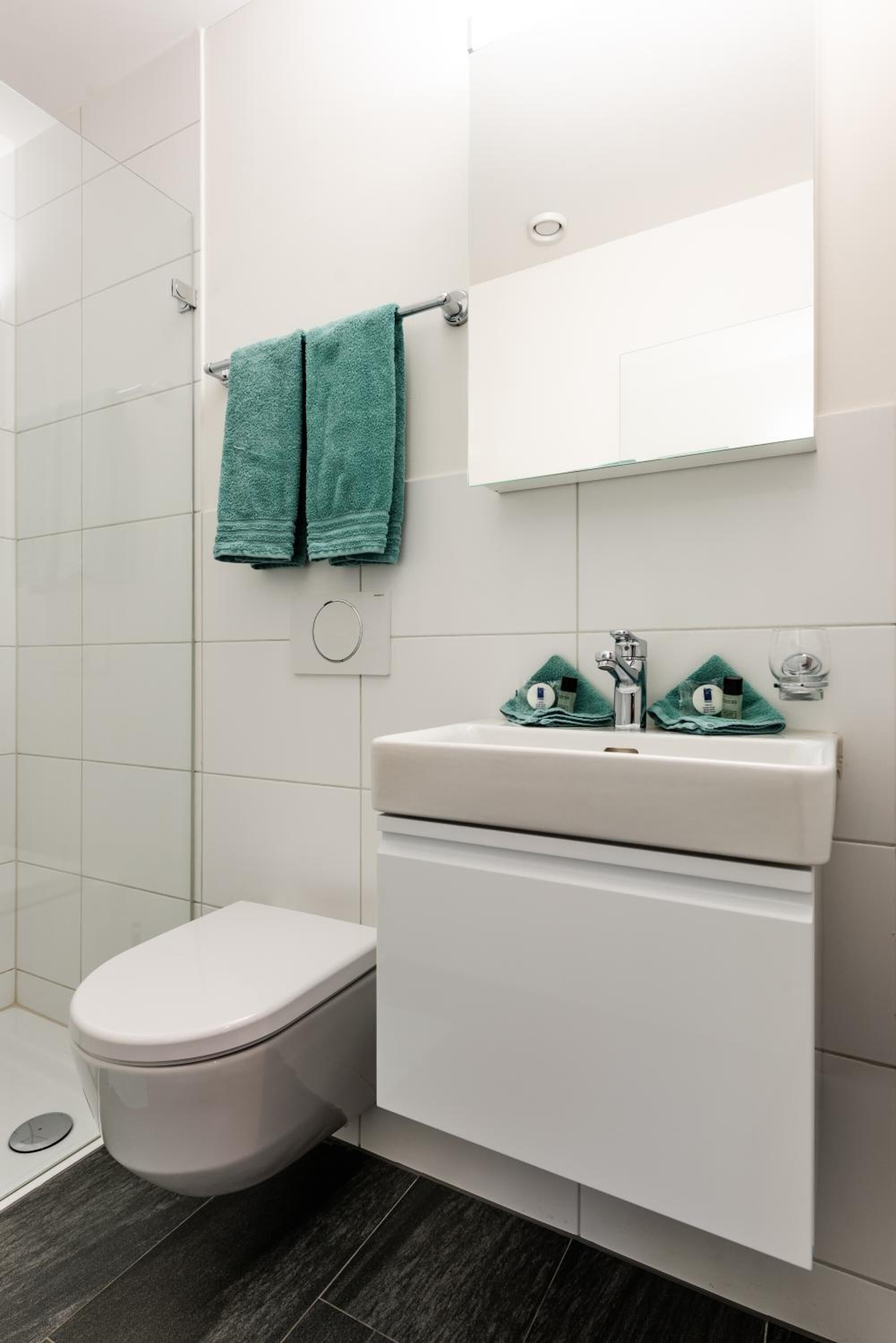 shower, free toiletries, hair dryer, towels