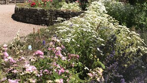 Un jardín con muro de piedra, diversas plantas florecientes y una cerca de madera.