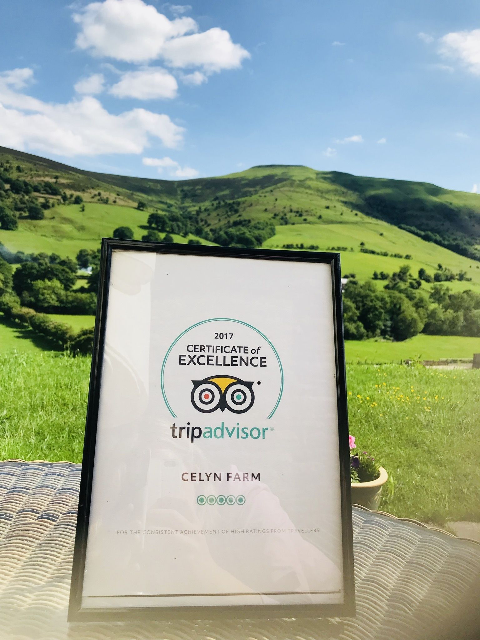 A framed TripAdvisor certificate of excellence for Celyn Farm, set against a scenic hillside backdrop.