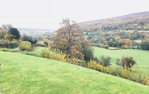 A rural landscape with rolling hills, a prominent tree in the foreground, and a green field. - The Celyn (Abergavenny)