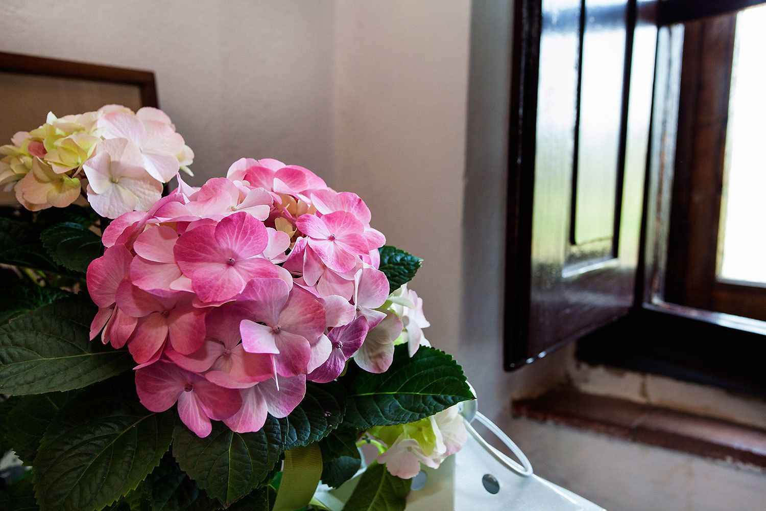 A bouquet of pink and white hydrangeas in a vase.