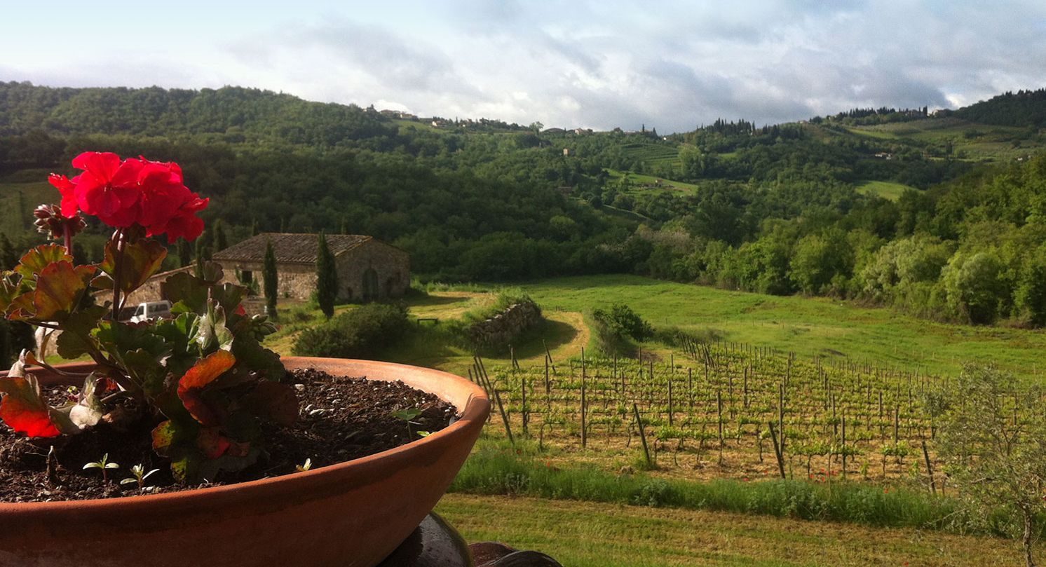 Un pot en terre cuite orné de fleurs rouges, placé sur un balcon donnant sur un vignoble et un bâtiment en pierre, dans un paysage vallonné.